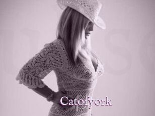 Catofyork Uk Sexy Milfs