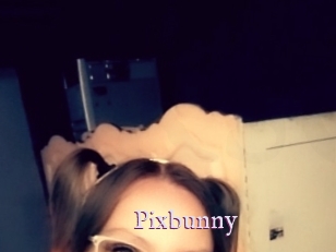 Pixbunny